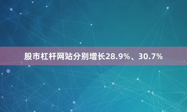 股市杠杆网站分别增长28.9%、30.7%